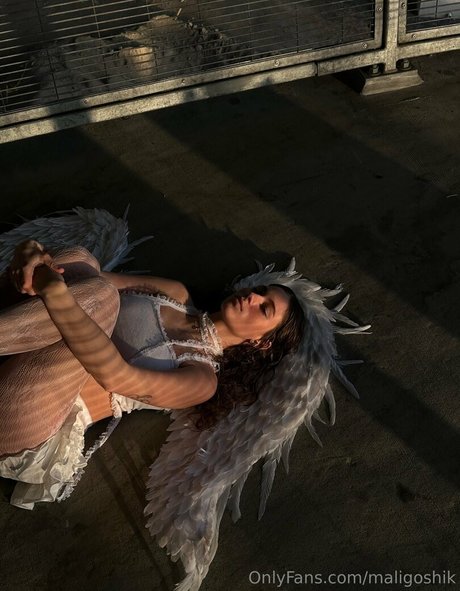 maligoshik OnlyFans Inhalte