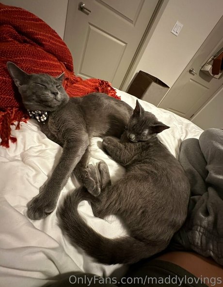 maddylovings Sextape OnlyFans Nacktbilder