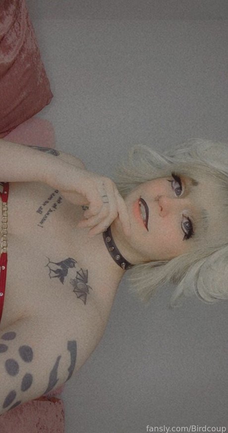 Coophound Strip OnlyFans