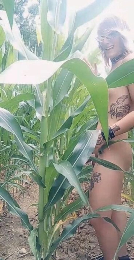 SoftBoxBoi OnlyFans Gratis-Inhalte