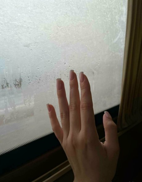 jessy shine Profilbild