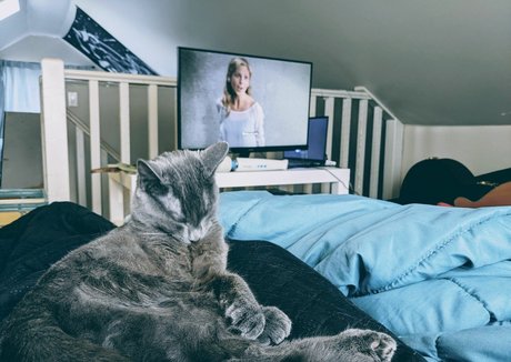 TheMissSilverWitch Neue OnlyFans Leaks