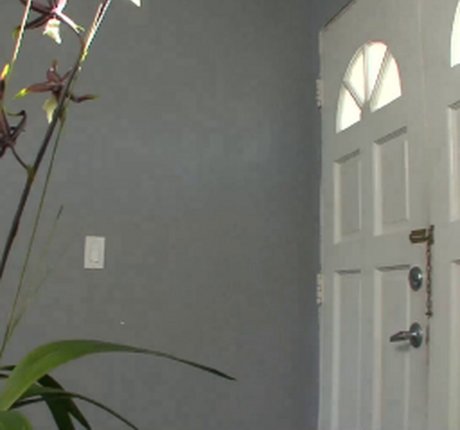 bbc-sextape onlyfans erotisch Premium