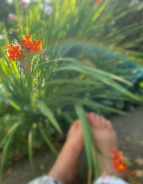 ravenclawslostdiadem Profilbild