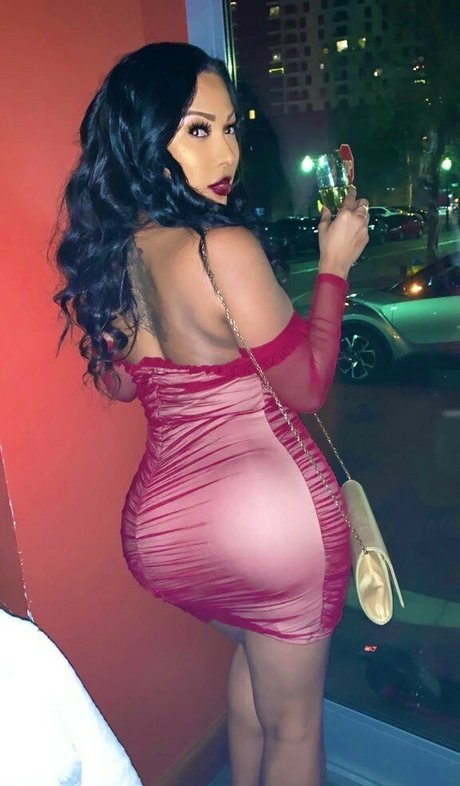 sashastallion OnlyFans