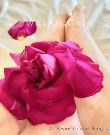 walkingaia OnlyFans Pornografie geleakt
