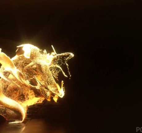 Cheyla Collins Leak von OnlyFans