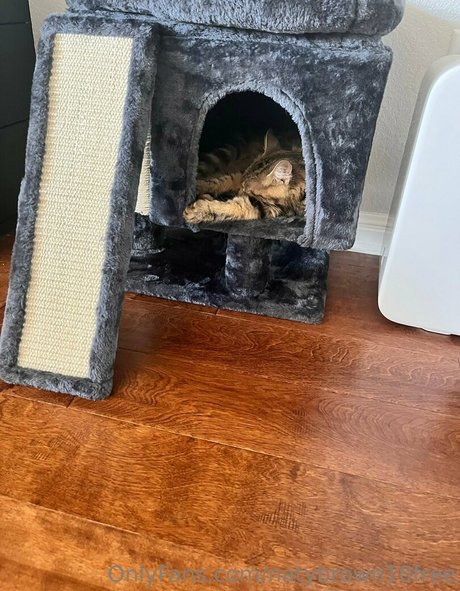 naty brown10 Leak von OnlyFans Pornografie