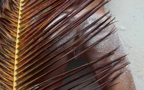 Zurine Aspiunza OnlyFans