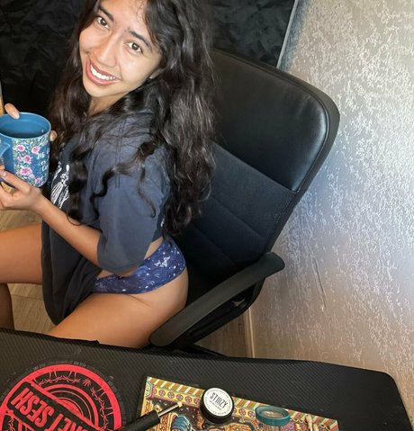 softswapme OnlyFans-Creator