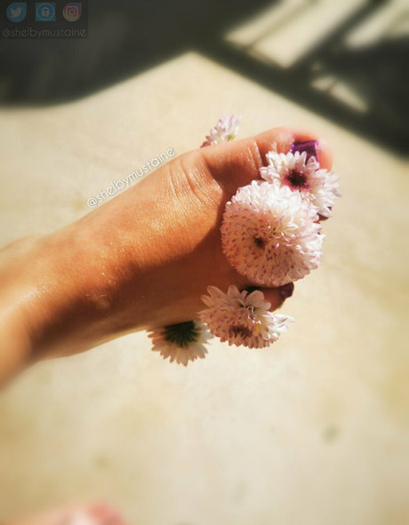 shelbymustaine Leaks OnlyFans