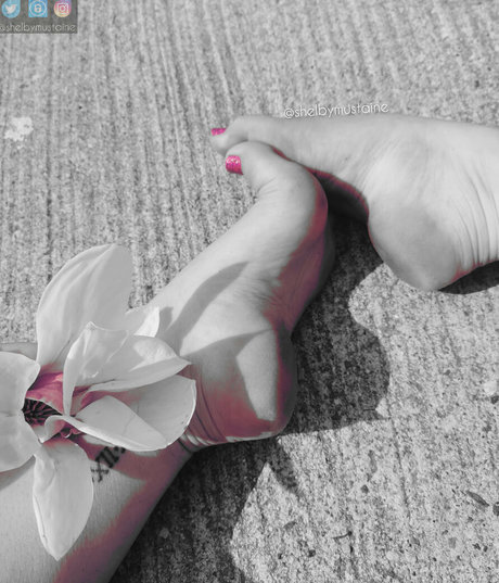 shelbymustaine Nacktbilder von OnlyFans geleakt