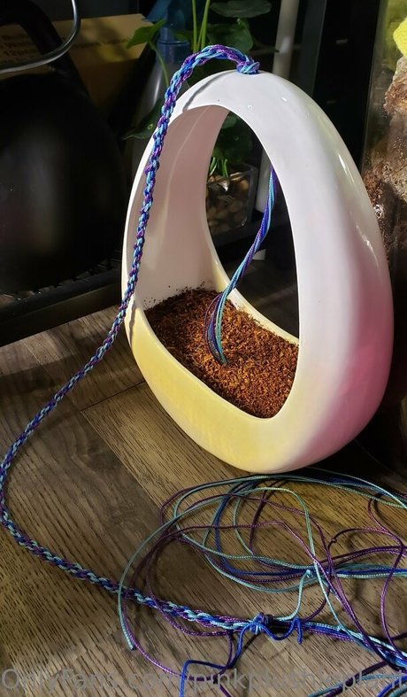 pinkplushieplants Leak von OnlyFans