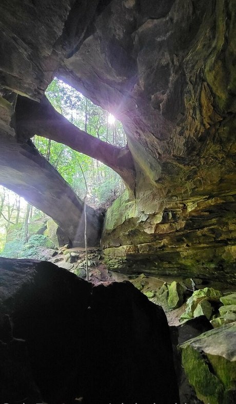 pinkplushieplants OnlyFans Fotos