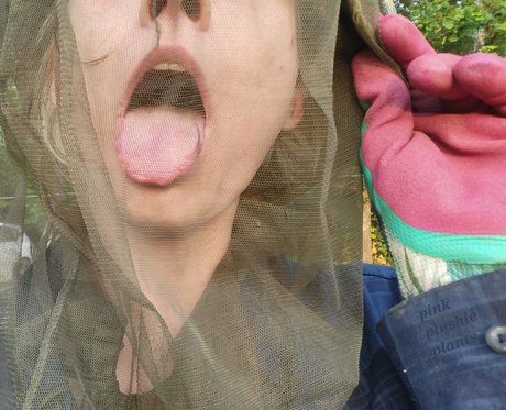 pinkplushieplants Porn OnlyFans Leak