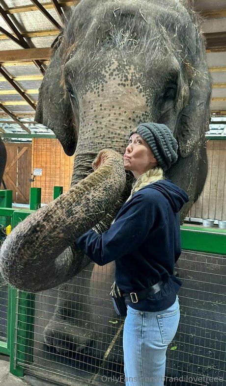 brandilovefreee OnlyFans Pornografie