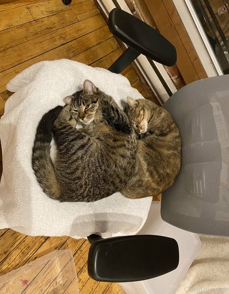 clara dee OnlyFans Nackt Leaks