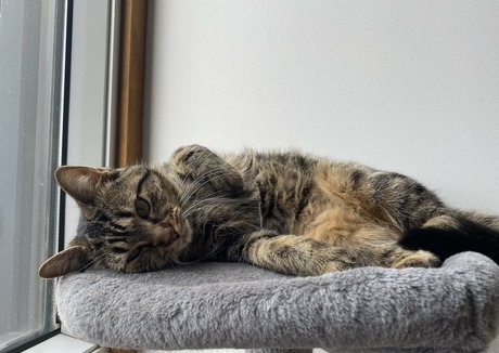 clara dee XXX OnlyFans