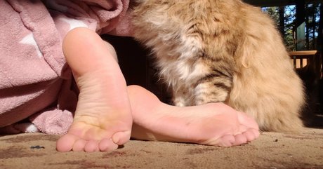 softcorekittyx OnlyFans geleakte Pornografie