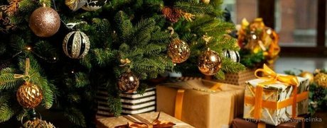 tvojenelinka Nacktbilder von OnlyFans