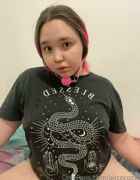 alicecook Neues OnlyFans