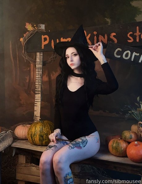 sibmouse OnlyFans-Leaks