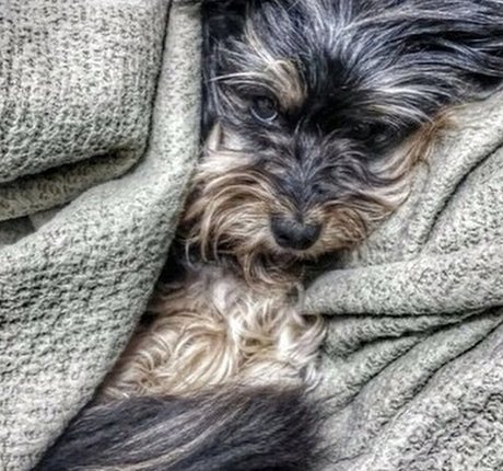 Nofar Froim OnlyFans Mega