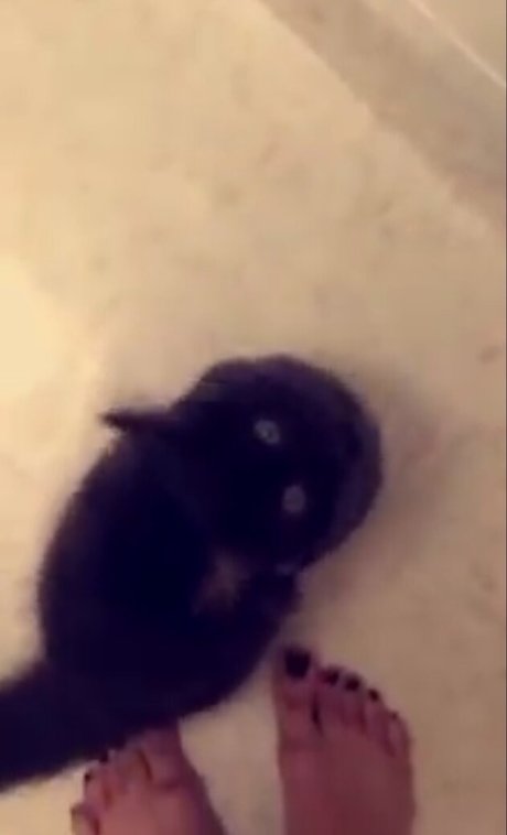 Trickywi OnlyFans Mega