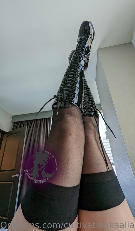 captivatingkaalia Profilbild