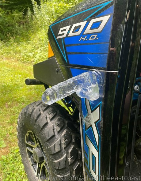 allyofftheeastcoast Nacktbilder von OnlyFans geleakt