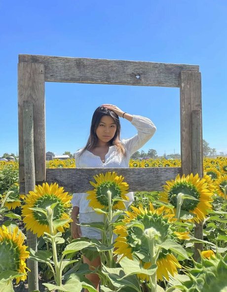 Wen Ding XXX OnlyFans