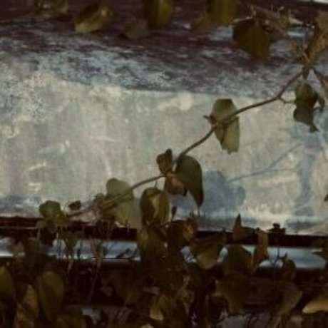 seriouslyzippy Neues OnlyFans