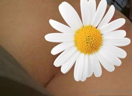 cowgirlvip Nacktbilder OnlyFans