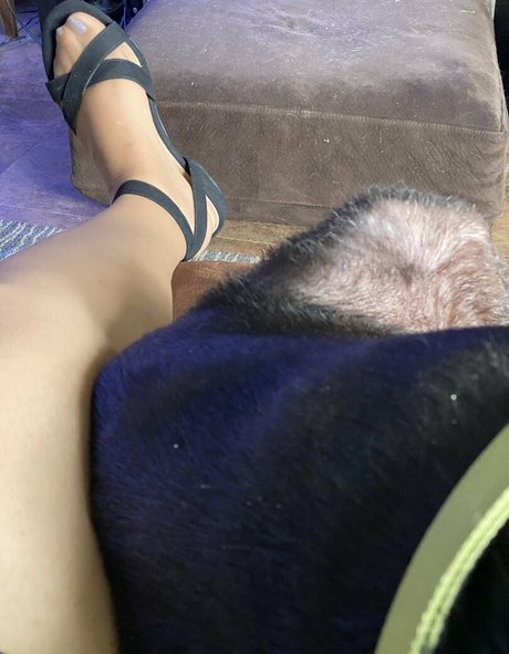 dizzykittenpaws OnlyFans Beiträge