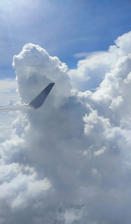 tasechka OnlyFans Strip