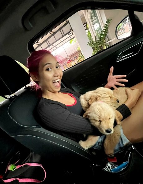 wildcmk Nacktporno OnlyFans