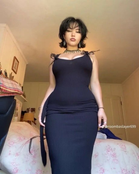 Roombaslayer69 OnlyFans-Model