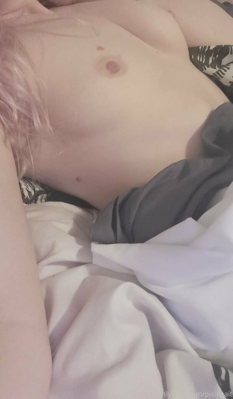 pixiebait Profilbild