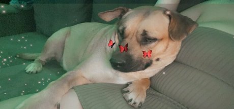 brattyprincess25 Leaked OnlyFans Bilder