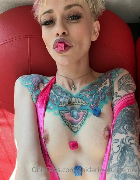 spiderinyourgarden Profilbild