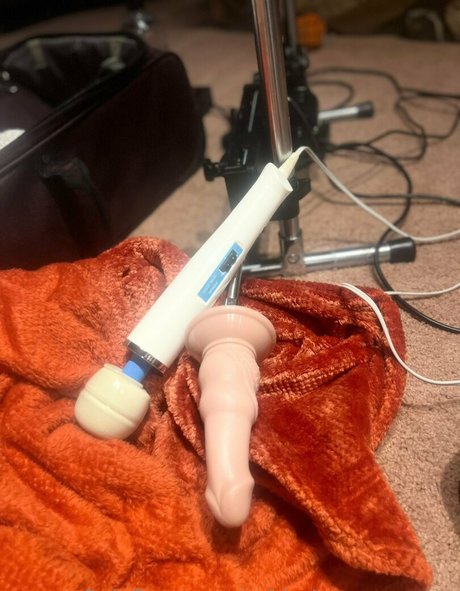 spiderinyourgarden XXX OnlyFans