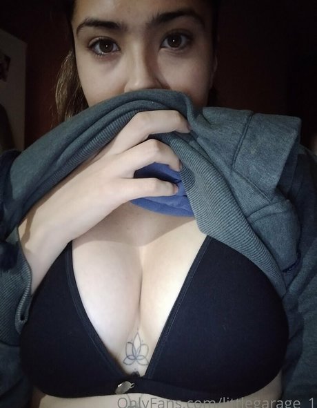 littlegarage 1 XXX OnlyFans