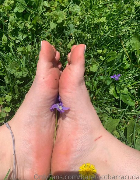 barefootbarracuda Leaks von OnlyFans