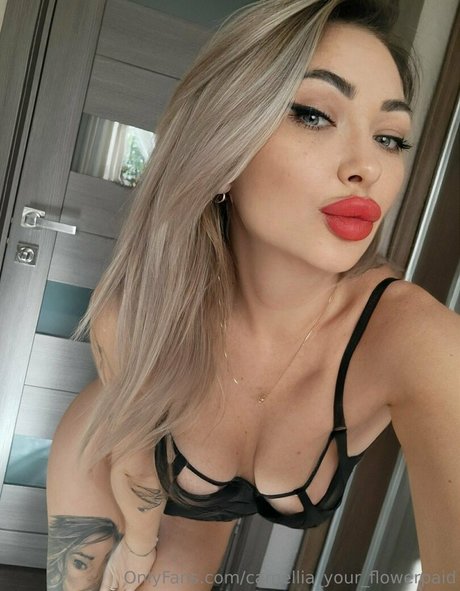 camellia home Brüste OnlyFans