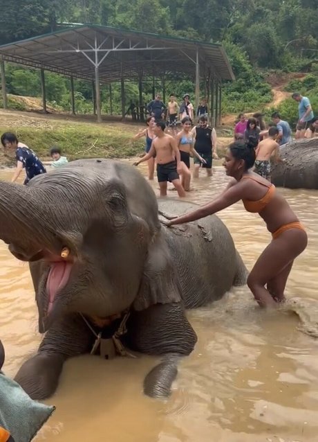 Venorika Leaked OnlyFans Nacktbilder