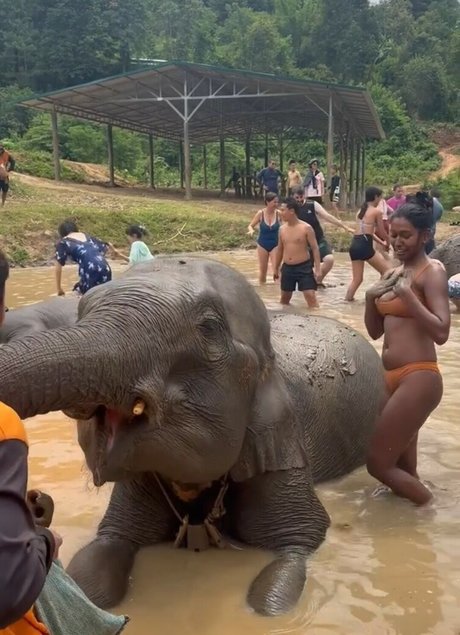 Venorika OnlyFans nackt