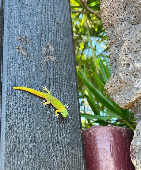 Anika Grace XXX OnlyFans