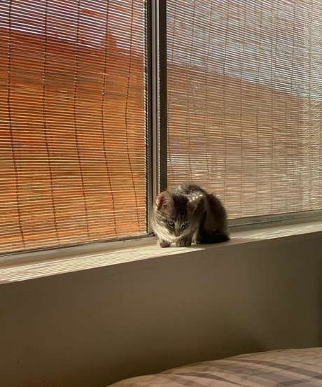 Anika Grace OnlyFans