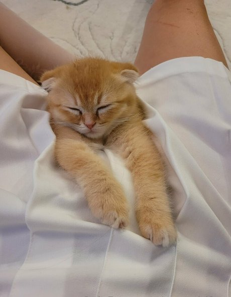 yogagirlfree OnlyFans geleakter Pornografie