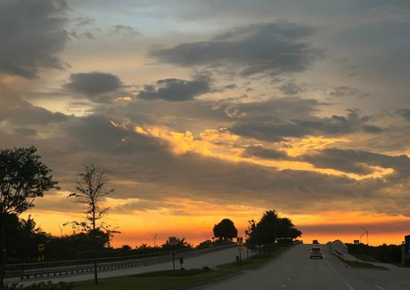 vanessaselene Nacktbilder OnlyFans geleakt